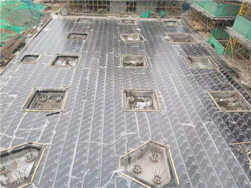 武昌知名自粘卷材 品質(zhì)卓越，售后無(wú)憂，武漢長(zhǎng)盛鑫防水工程專業(yè)供應(yīng)